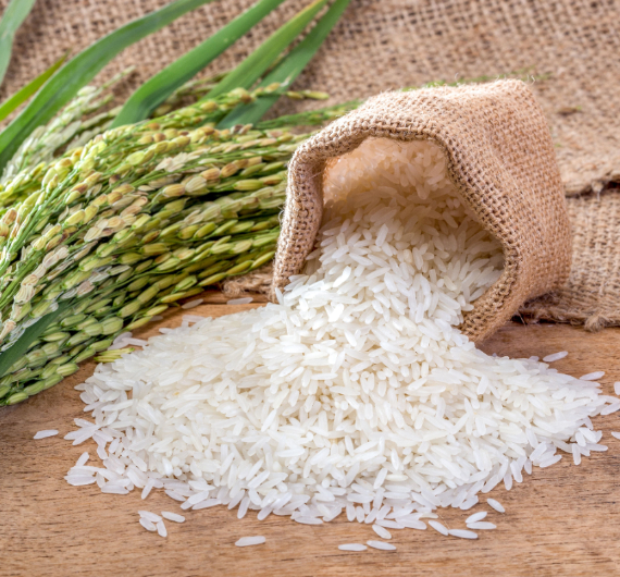 Rice